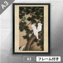 伊藤若冲　「老松鸚鵡図」　日本画ポスター　A3　マット　その27　【フレーム付】《JP》