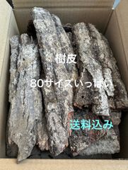 ナラ　木の皮