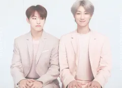 SEVENTEEN 19年 WORLD TOUR IN JAPAN Ode to You THE8/HOSHI トレカ