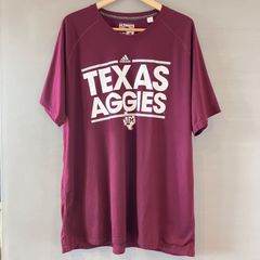 非売品 早稲田大学 アメリカンフットボール部 ビッグベアーズ 半袖 T