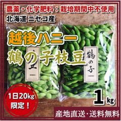 【農薬・化学肥料：栽培期間中不使用】茶豆・鶴の子枝豆 1kg 北海道 ニセコ産