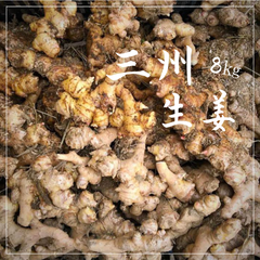 無農薬　幻の生姜　三州生姜　種生姜　ひね生姜　根生姜　約8㎏