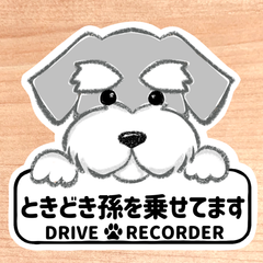 ときどき孫を乗せてます.ドライブレコーダー【シュナウザー.ボード】マグネットタイプ/シールタイプ/吸盤タイプ/