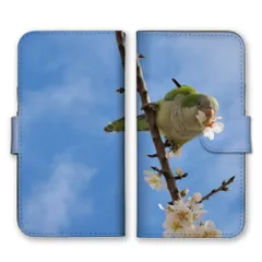 iPhone14ProMax ケース 手帳型 アイフォン14 プロマックス スマホケース 携帯ケース インコ セキセイインコ コザクラインコ 小鳥 写真 桜 花 かわいい 可愛い 綺麗 キレイ きれい カラー01