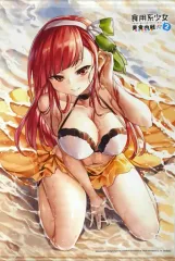 【中古】タペストリー リム B2タペストリー 「Switchソフト 食用系少女 2 美食内戦」 ソフマップ購入特典