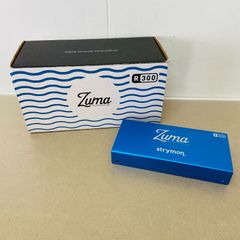 strymon　Zuma R300 パワーサプライ・ユニット 元箱付き　C3367