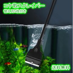 コケ取り コケ取スクレイパー 水槽 アクアリウム 掃除 熱帯魚 刃5枚 黒