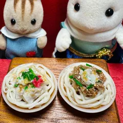 657 冷やしうどん2種類セット　豚おろし梅　おろし肉うどん　⭐️ドールハウス　リカちゃん　シルバニア　樹脂粘土　ねんどろいど　ブライス　オビツ　ぬいぐるみ　フィギュア　ミニチュア　フェイクフード　食品サンプル　エイミーショップ