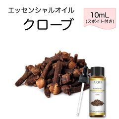 クローブ Eugenia caryophyllata スポイト付 10ml EUQEE 高品質 PREMIUM GRADE スパイス