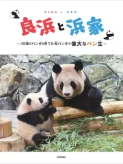 新品未開封★アドベンチャーワールド 30周年記念パンダファミリーバスタオル 新品未開封☆アドベンチャーワールド 30周年記念パンダ