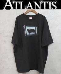 【広尾店】美品 シュプリーム Supreme 25SS Damien Hirst Tee sizeXL ブラック 【16218】