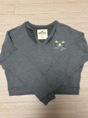 ホリスター スウェットシャツ CUT