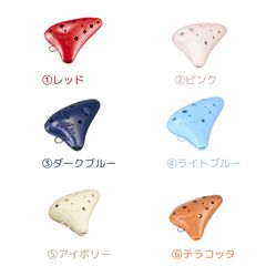 美品！レアカラー Sonorite 聴診器 ミントグリーン ケース付き 美品！レアカラー Sonorite 聴診器 ミントグリーン ケース付き - メルカリ