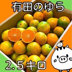 ゆらみかん　有田産　2.5キロ