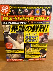 燃えろ！新日本プロレス vol.28 (発売日2012年10月25日)