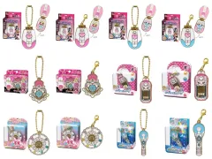 【中古】キーホルダー 全12種セット 「プリキュアオールスターズ 変身ダイキャストチャーム＆パッケージ3」