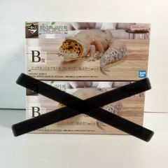 爬虫類一番くじ　Ｂ賞　ヒョウモントカゲモドキ脱皮中