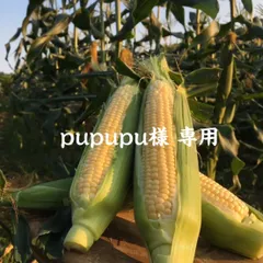 pupupu様 専用