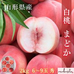 ☆信州大実 2kg 信州産 あんず 杏 生あんず アプリコット - メルカリ