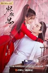 中国ドラマ DVD 雪花咲く、君を想う 全13巻セット - メルカリ