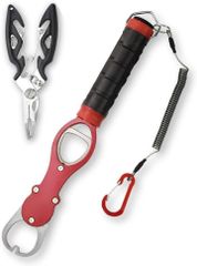 Item thumbnail for item 3c65293e-a4fa-4cc3-ace4-1168027cfb9f