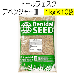 トールフェスク種子　アベンジャーⅢ　10kg【種】紅大貿易　芝の種　芝生の種　寒地型　西洋芝