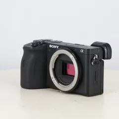 2025年最新】SONY(ソニー) ミラーレス一眼 α6600 ボディ ブラック ILCE