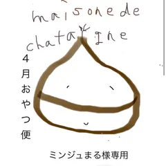 ミンジュまる様専用　おやつ便　シフォンケーキサンド　チーズケーキ　テリーヌ