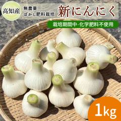 京都府産 無農薬 新にんにく 生にんにく 紫にんにく 4kg｜Yahoo
