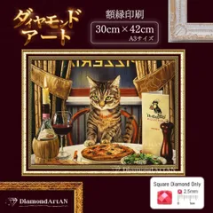 2024年最新】ダイヤモンドアートキット 猫の人気アイテム - メルカリ