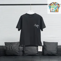 【今日WTO】ARC'TERYX アークテリックス バックロゴ T シャツ-RL41