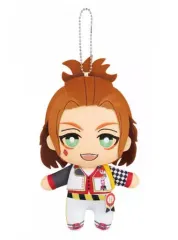 【中古】ぬいぐるみ ケイト・ダイヤモンド ともぬい vol.2 「ディズニー ツイステッドワンダーランド」 とるモ＆ナムコ限定