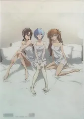 エヴァンゲリオン、美少女写真展、クリアファイル。 2025年最新