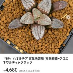 おまとめ