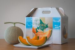 【羊蹄山の綺麗なお水で育ったメロン】秀品 北海道 ニセコ産 羊蹄メロン 1玉 約1.5kg 赤肉メロン メロン 果物 ギフト プレゼント お中元 お歳暮