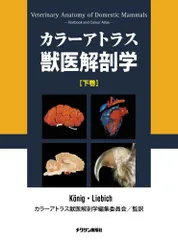 2023年最新】カラーアトラス獣医解剖学の人気アイテム - メルカリ