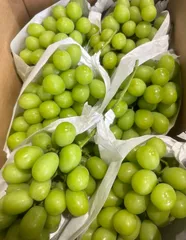 北海道クール便‼️シャインマスカット　葡萄　ぶどう　ブドウ箱込み5kg クール便でお届け〉 シャインマスカット ぶどう 送料無料 1kg 2