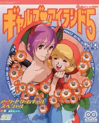 絶版　超貴重　ギャルズアイランド　トレーディングカード　未開封　2パック 絶版 超貴重 ギャルズアイランド トレーディングカード 未開封 2