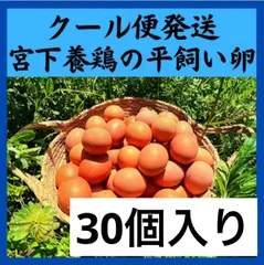 2024年最新】#佐伯養鶏の人気アイテム - メルカリ