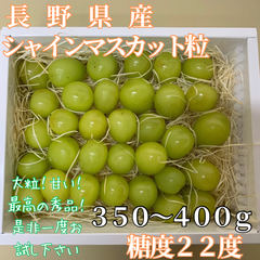 シャインマスカット 粒 長野県産 大粒 種無し 350g 400g