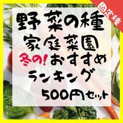野菜の種　家庭菜園おすすめランキング！　500円セット