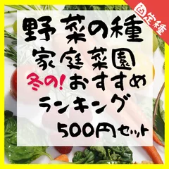 2024年最新】京野菜セットの人気アイテム - メルカリ