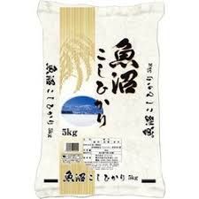 5kg×2袋 計10kg 訳あり 精米1か月以上経過 令和6年産 魚沼産 コシヒカリ ミツハシライス 米 精米 白米 お一人様1点限り【北海道/沖縄/離島発送不可】