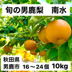 男鹿梨「南水」10kg 【家庭用】  大将梨園　秋田県男鹿市産