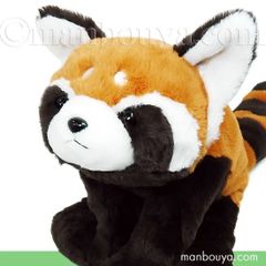 レッサーパンダ ぬいぐるみ 動物園 おみやげ キュート販売 CUTE くたくたレッサーパンダ L 75cm 動物園グッズ