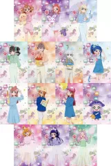 【中古】ポストカード 全14種セット ポストカード 「わんだふるぷりきゅあ!ざ・むーびー!ドキドキ・ゲームの世界で大冒険! 公開記念 プリキュア プリティストア出張店2024 in マルイ」 お買上げ抽選会 B賞