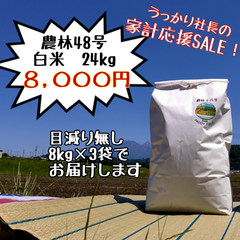 ～うっかり社長の家計応援SALE～武川米農林48号（白米）24kg