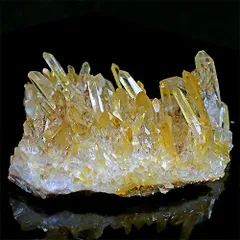 2025年最新】ゴールデンヒーラーの人気アイテム - メルカリ