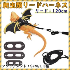 2025年最新】カメレオンリーダーの人気アイテム - メルカリ