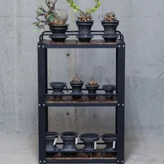 オープンシェルフ　観葉植物棚　多肉植物棚　塊根植物　飾り棚　什器 多肉植物 棚」の人気商品一覧 | 安い商品を通販サイトから探す
